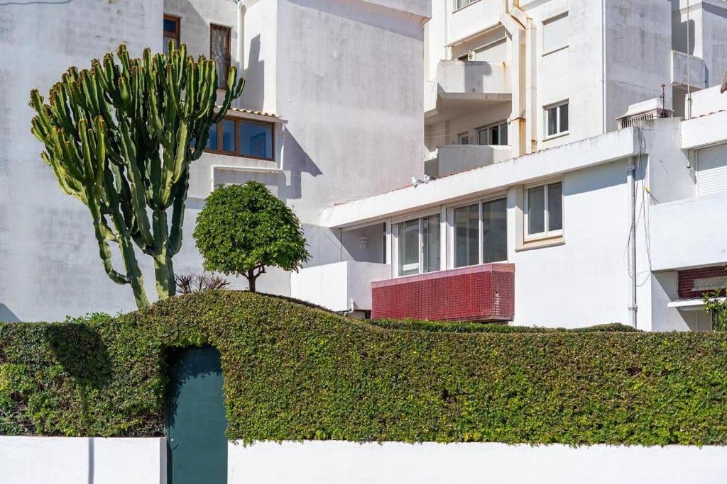 Acolhedor Com Wifi A Passos Do Mar Apartment *